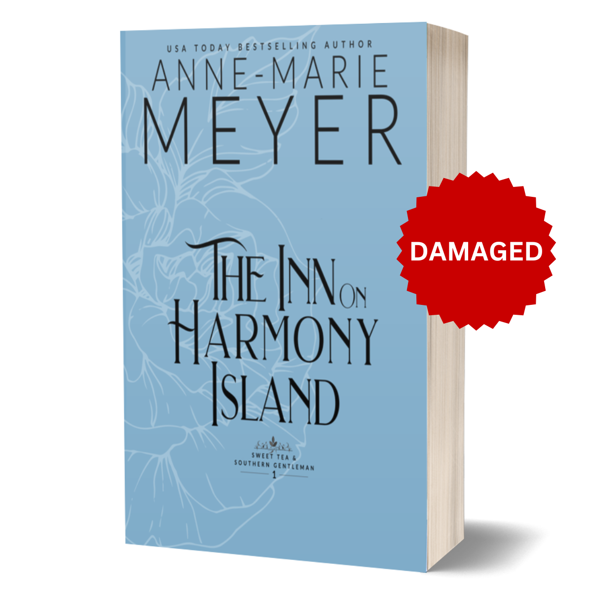 Damaged Inn on Harmony Island by Anne-Marie Meyer.