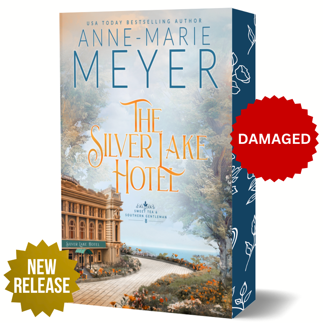 Cover image: Damaged The Silver Lake Hotel by Anne-Marie Meyer.