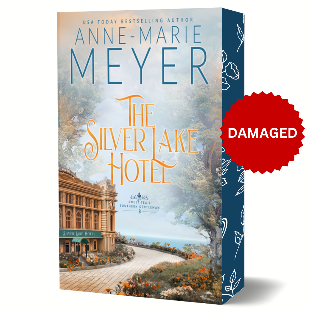 DAMAGED The Silver Lake Hotel - Elevated Paperback