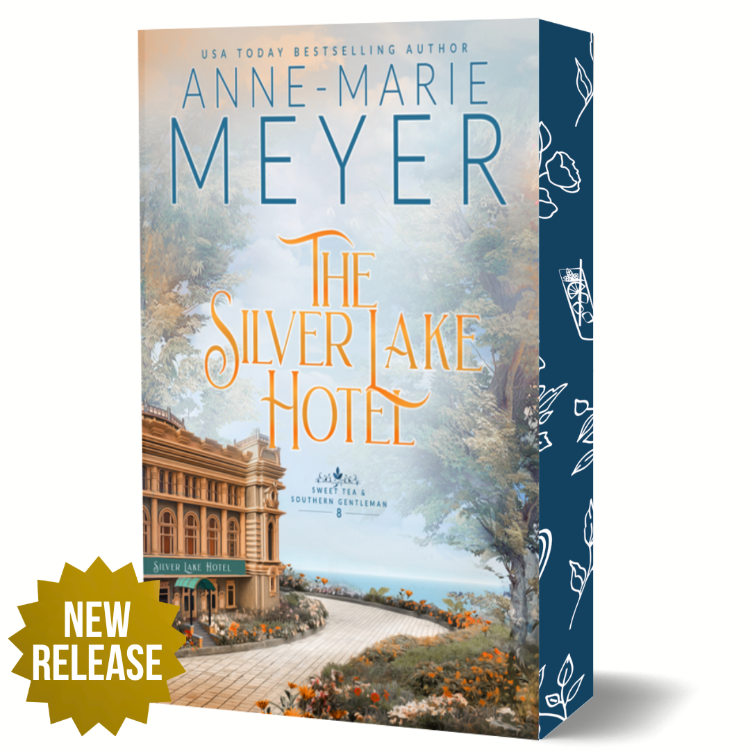 Cover Image:The Silver Lake Hotel, a new release by Anne-Marie Meyer.