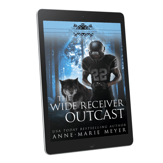 The Wide Receiver Outcast, Book 3